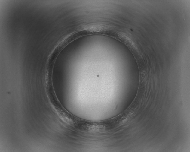 X0000073710400200608241448