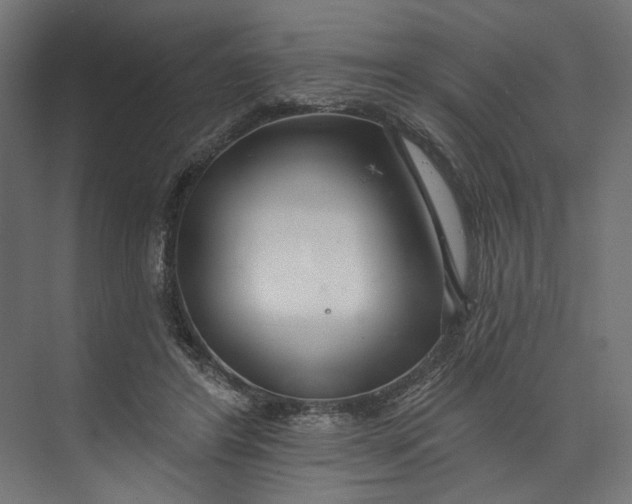 X0000073710404200608241448