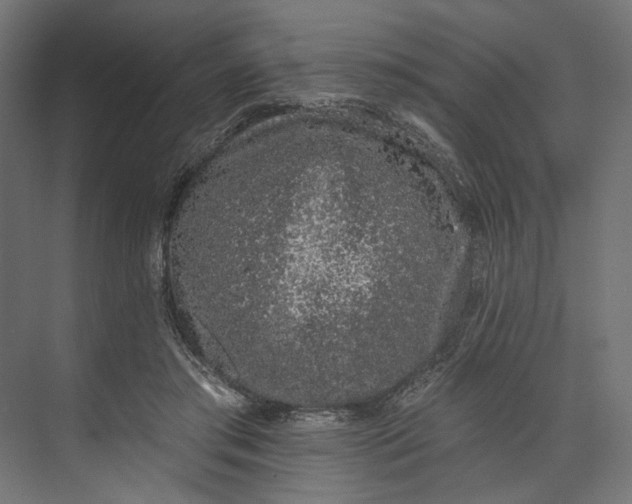 X0000073710405200608241448