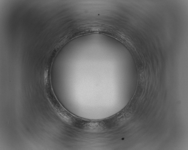 X0000073710406200608241448