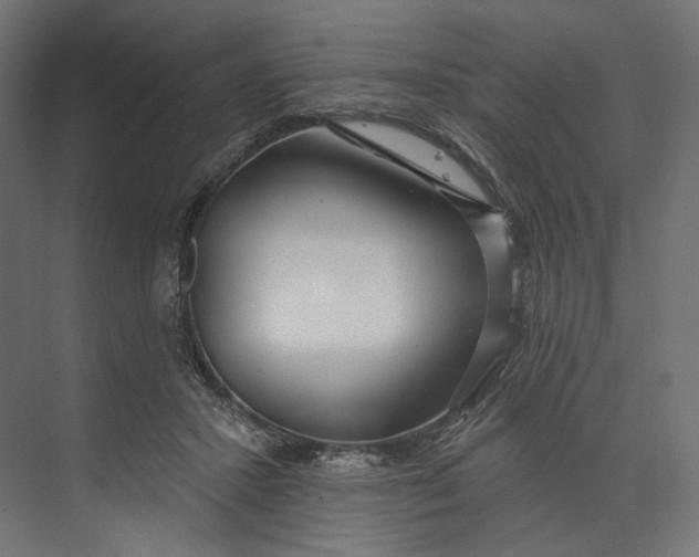 X0000073710407200608241448