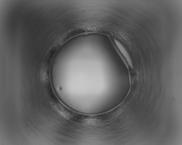 X0000073710408200608241448