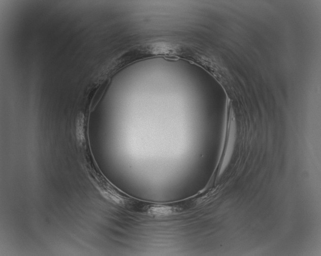 X0000073710413200608241448