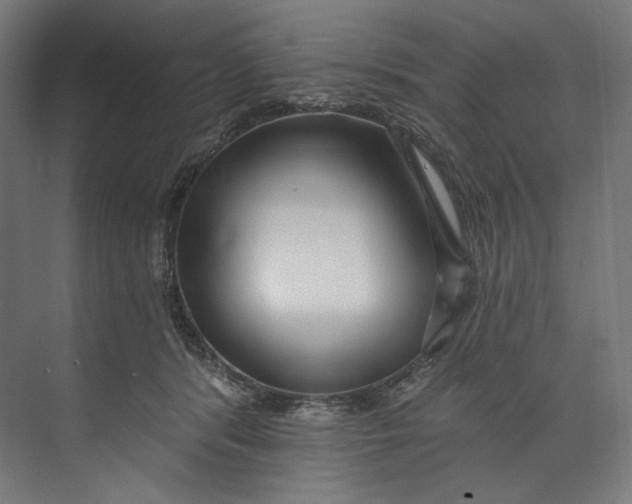 X0000073710416200608241448