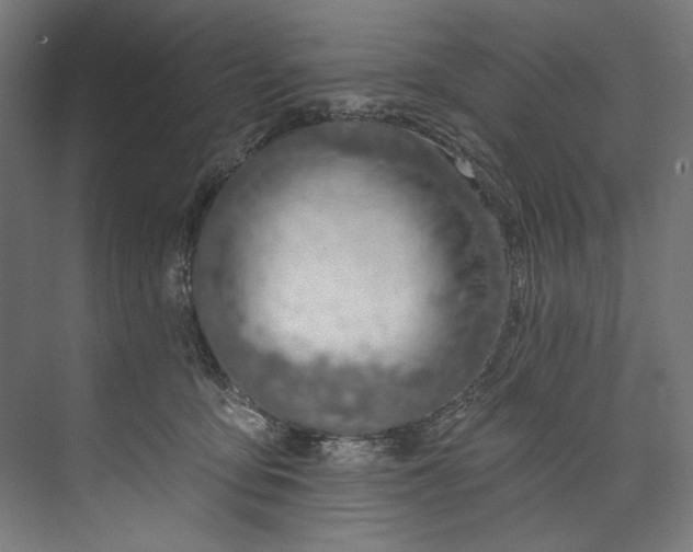 X0000073710419200608241448