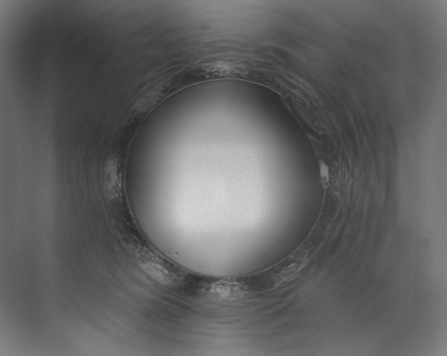 X0000073710420200608241448