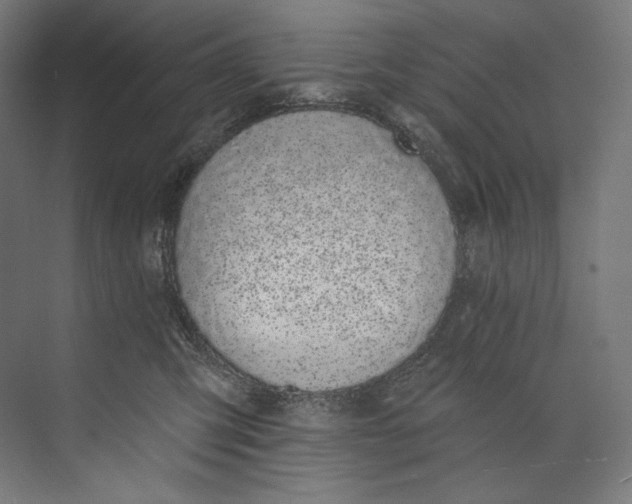 X0000073710423200608241448