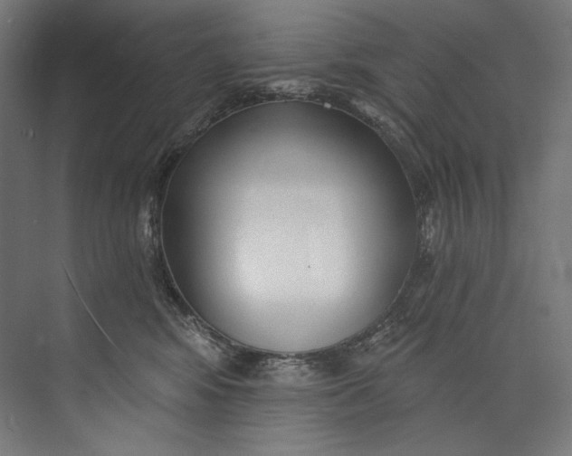 X0000073710424200608241448