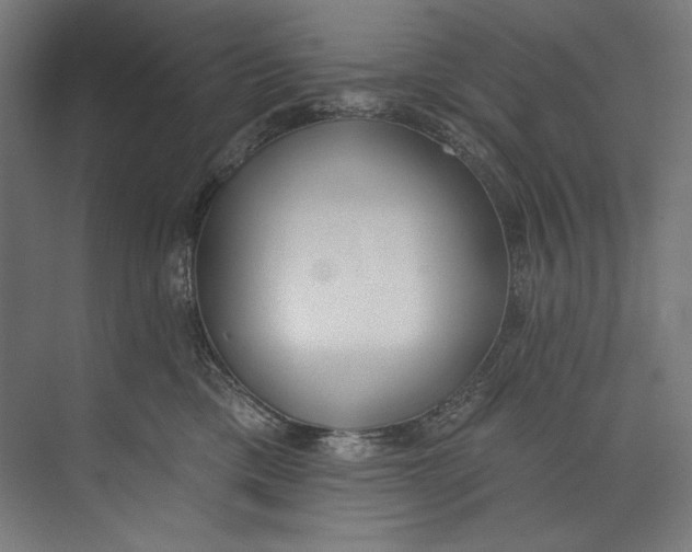 X0000073710425200608241448