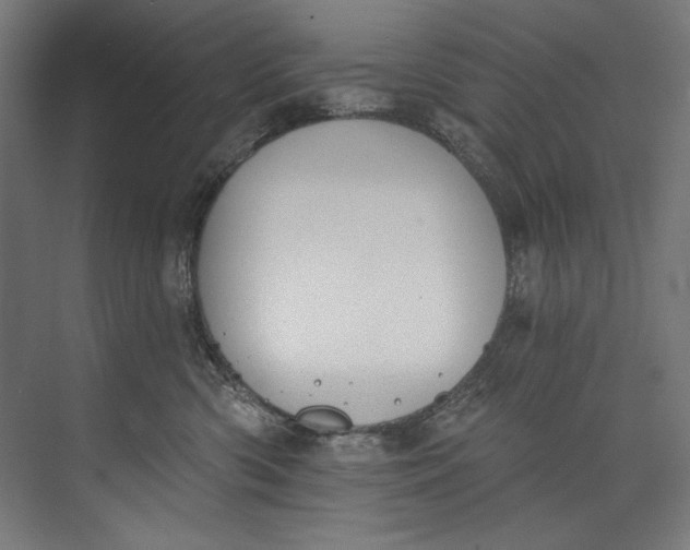 X0000073710426200608241448