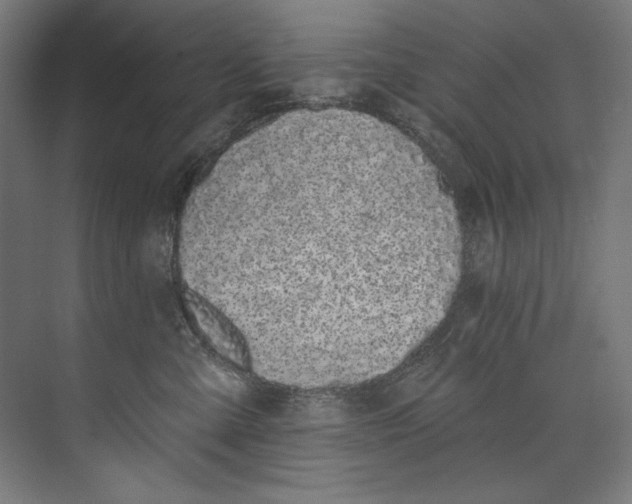 X0000073710427200608241448