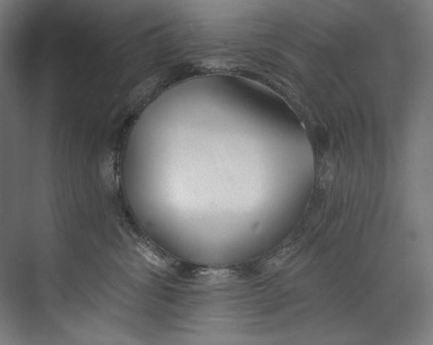 X0000073710428200608241448