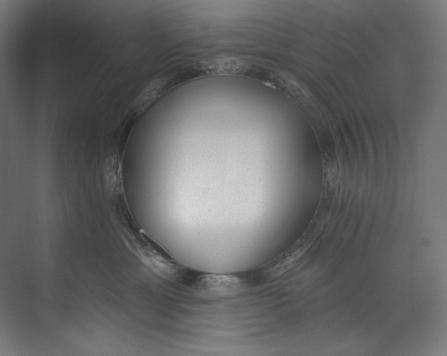 X0000073710429200608241448