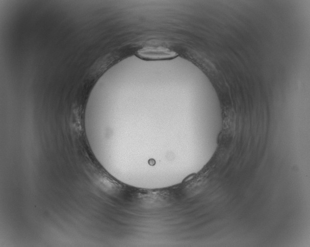 X0000073710430200608241448