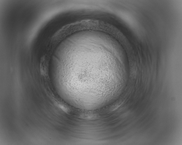 X0000073710431200608241448