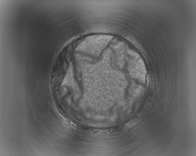 X0000073710434200608241447