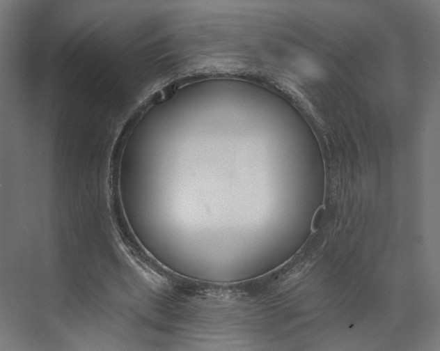 X0000073710439200608241447