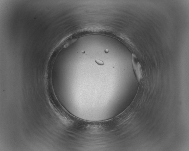 X0000073710440200608241447