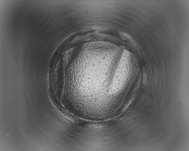 X0000073710444200608241447