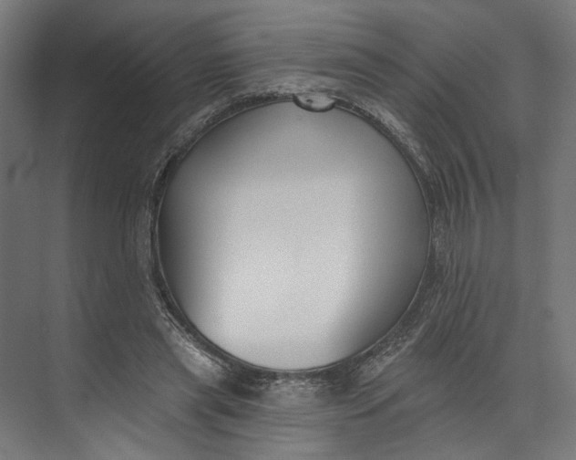 X0000073710445200608241447