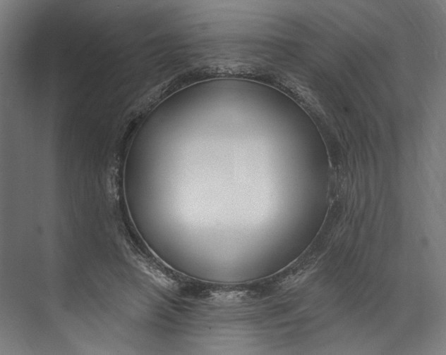 X0000073710450200608241447