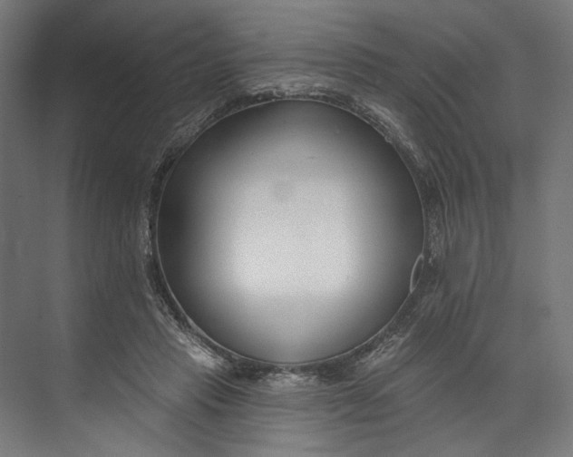 X0000073710453200608241447