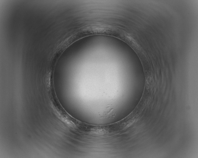 X0000073710454200608241447