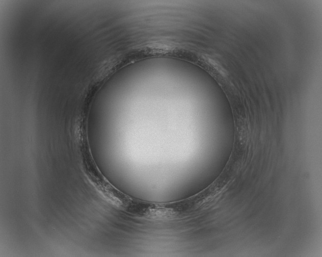 X0000073710455200608241447