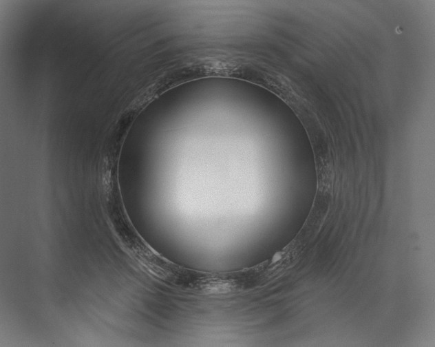 X0000073710456200608241447