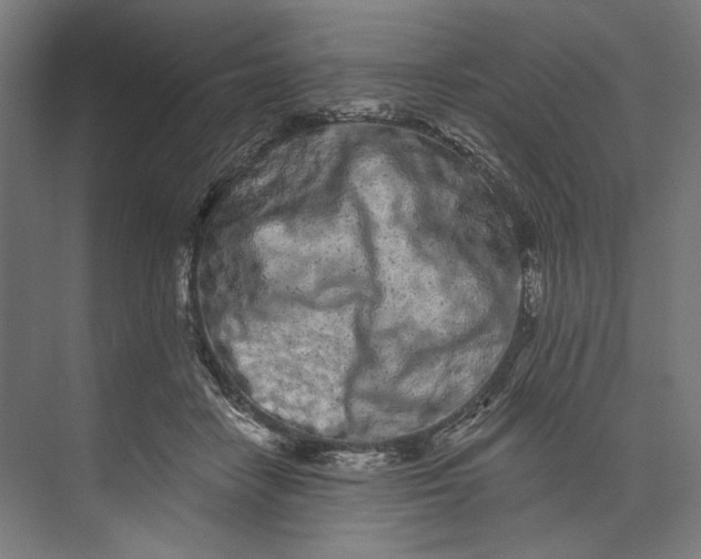 X0000073710458200608241447