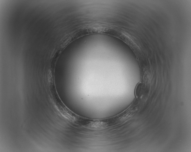 X0000073710459200608241447