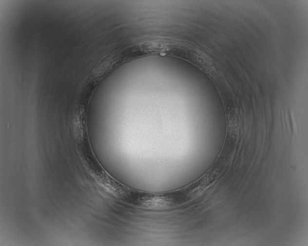 X0000073710460200608241447