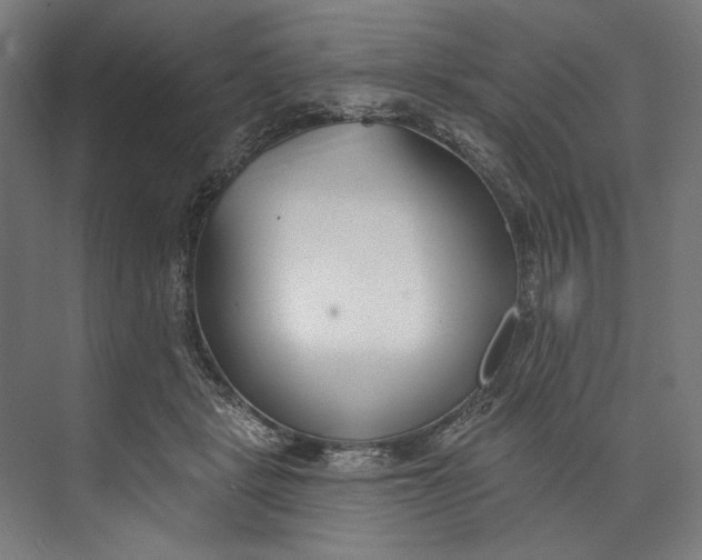 X0000073710461200608241447