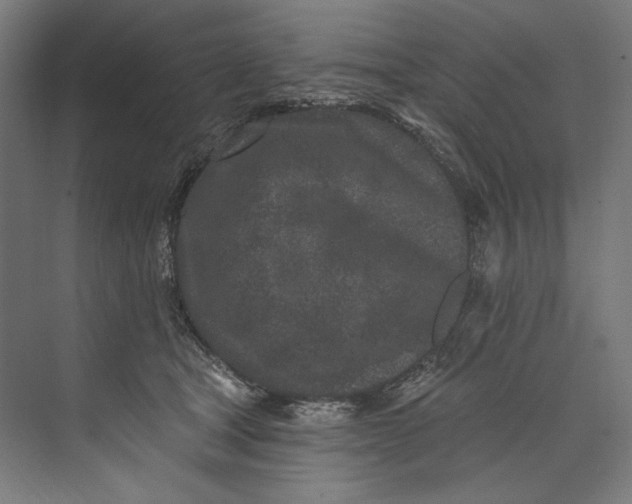 X0000073710465200608241447