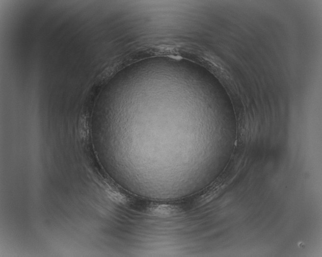 X0000073710467200608241447