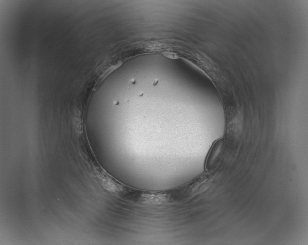 X0000073710469200608241447