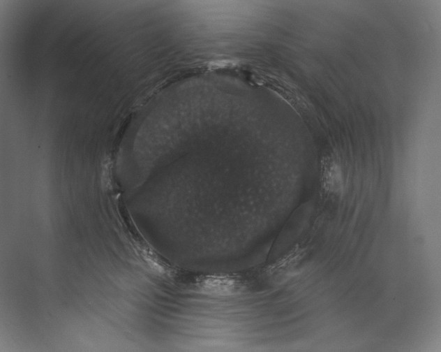 X0000073710471200608241447