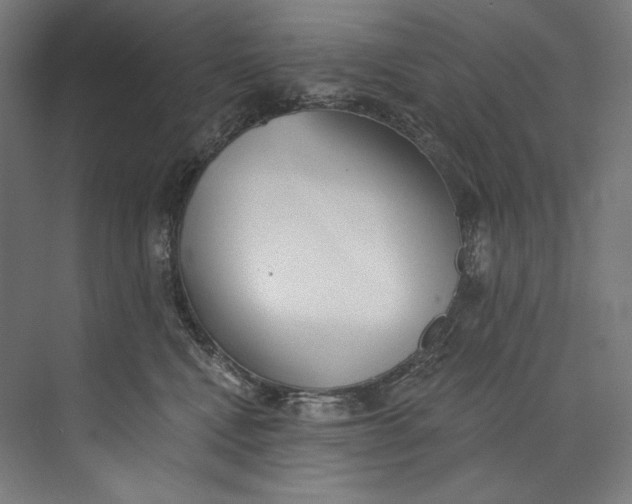 X0000073710472200608241448