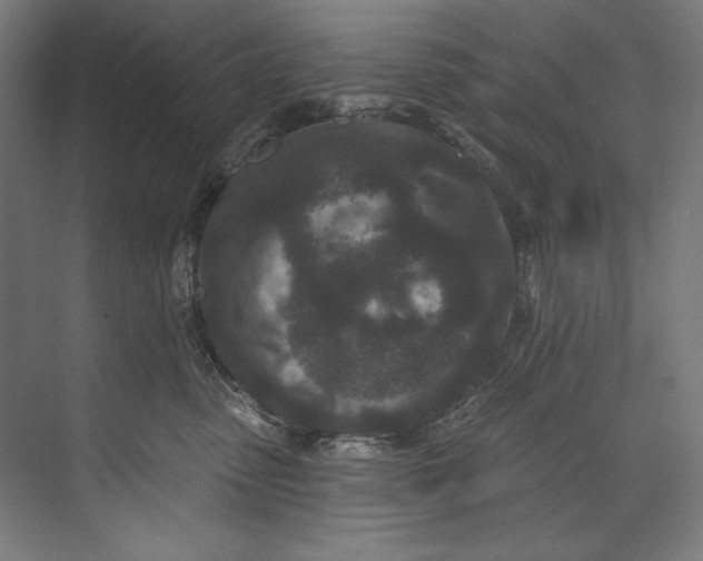 X0000073710475200608241448