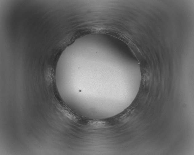 X0000073710476200608241448