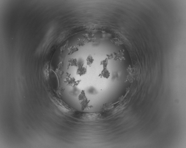 X0000073710479200608241448