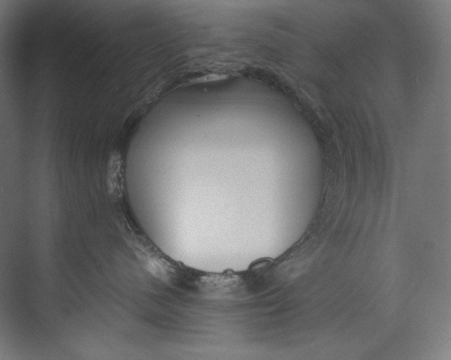 X0000073710480200608241448