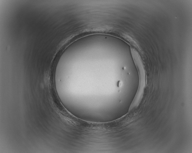 X0000073710483200608241447