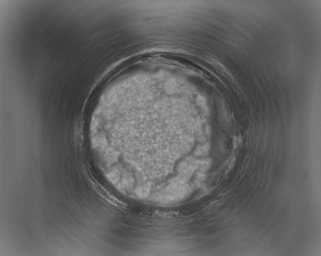 X0000073710484200608241447