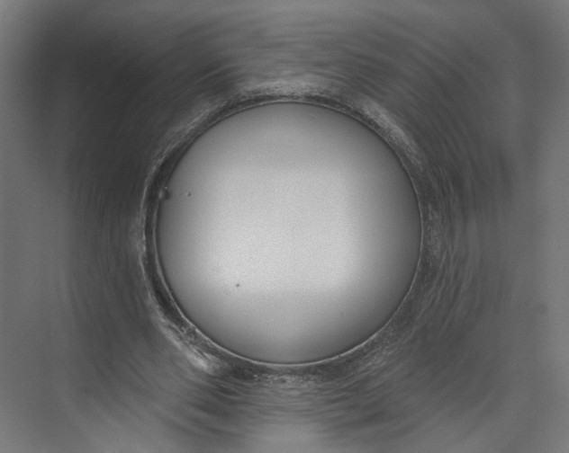 X0000073710486200608241447