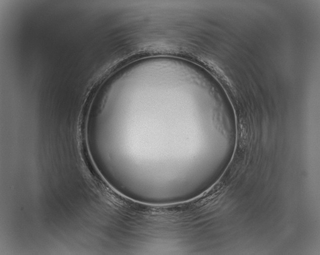 X0000073710487200608241447