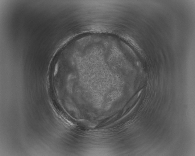 X0000073710488200608241447