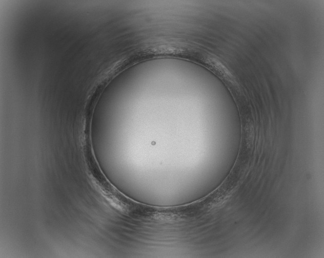 X0000073710490200608241447