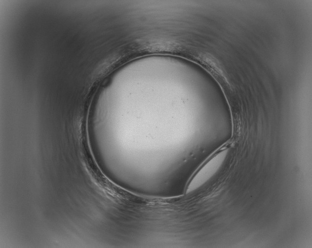 X0000073710491200608241447