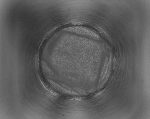 X0000073710492200608241447